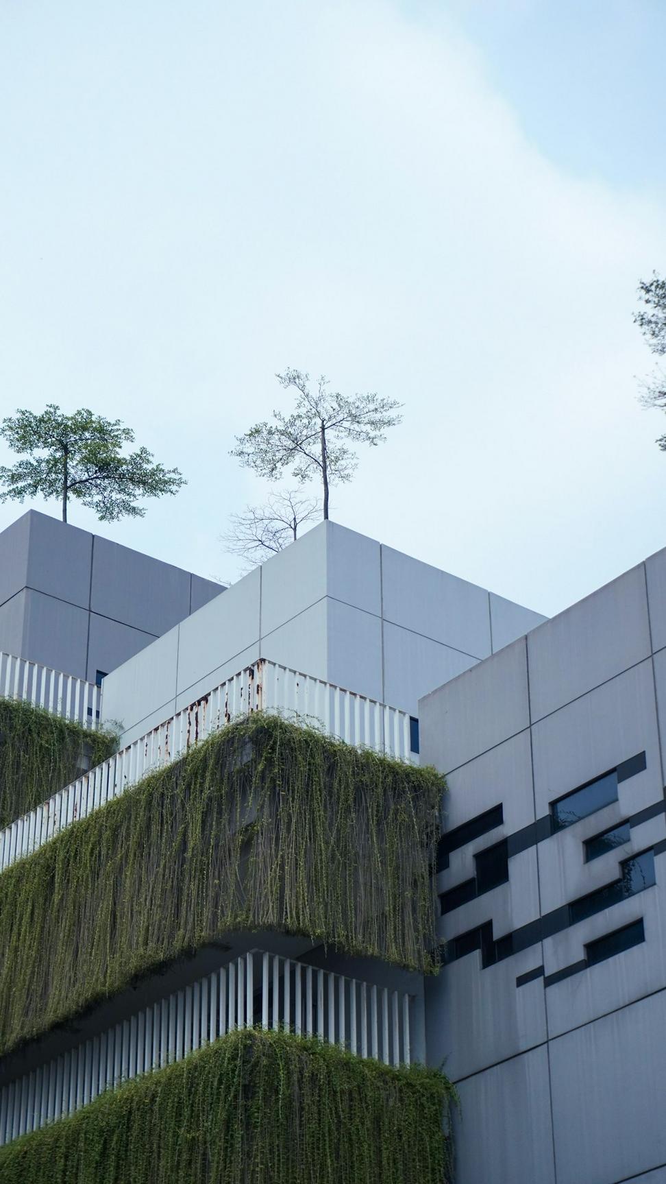 Sustainable architecture